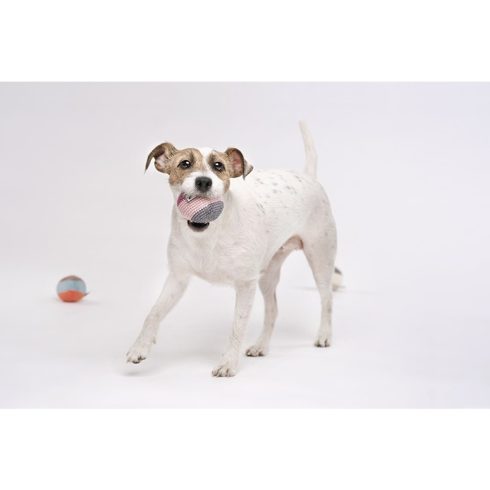 Harmony horgolt kutya labda zöld-barna-pink