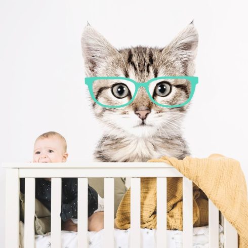 Falmatrica cica türkiz szemüvegben