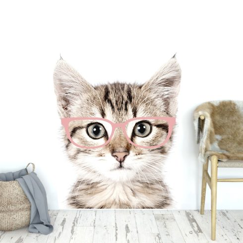 Falmatrica cica rózsaszín szemüvegben